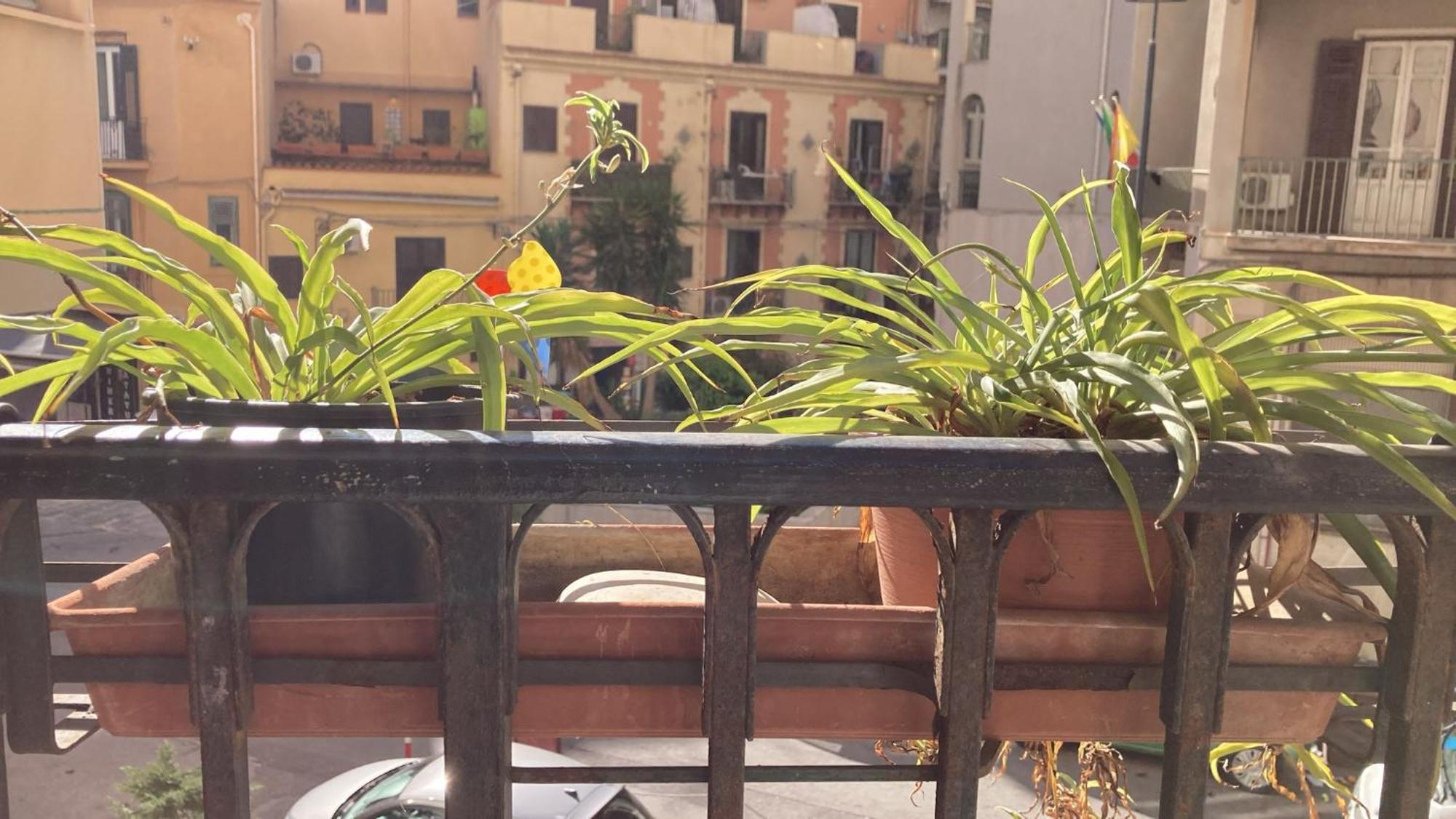 Appartement Casa Empedocle à Palerme Extérieur photo